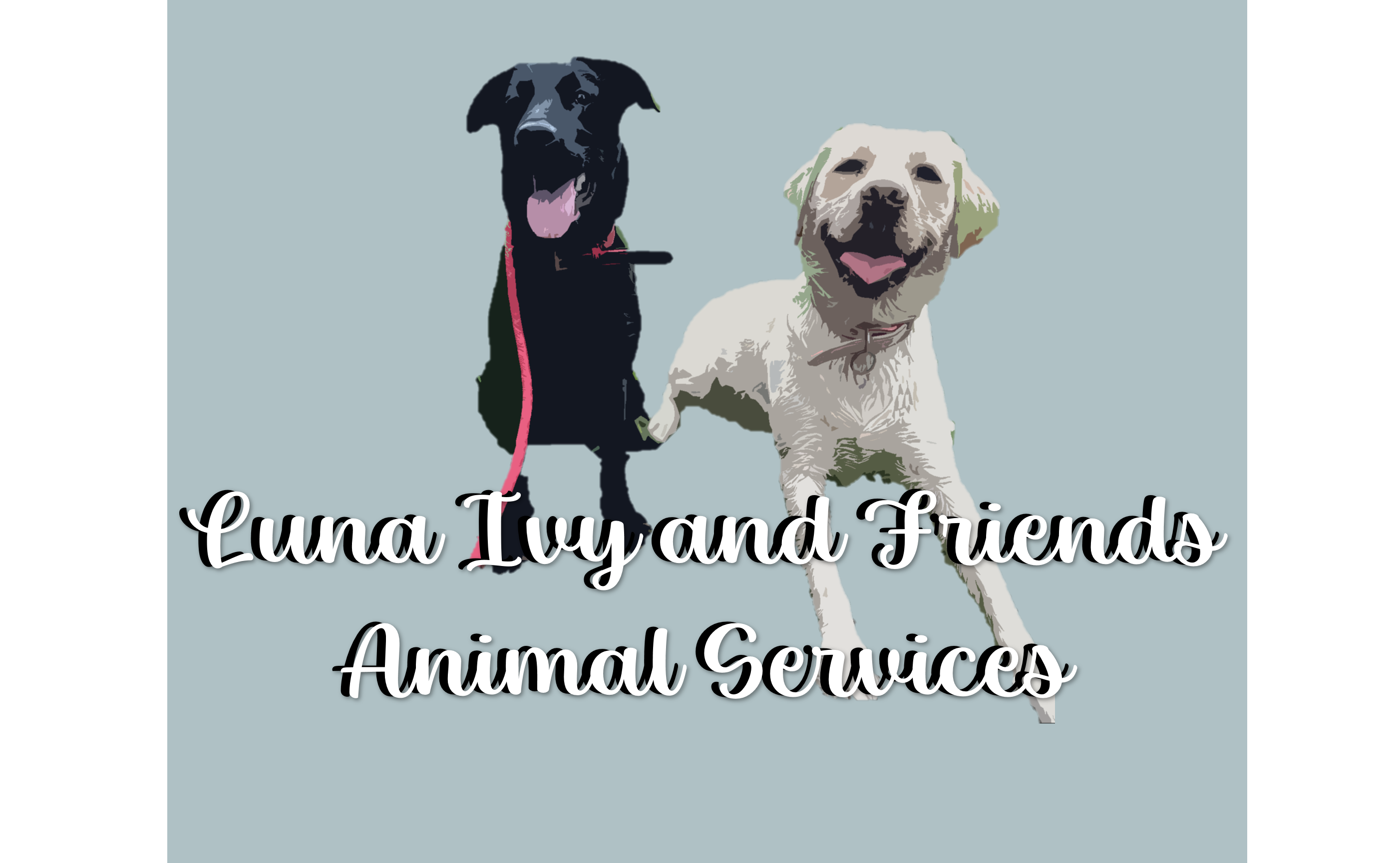 Luna Ivy and Friends Animal Services 
